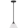 Livex Lighting North Port 1 - Light Pendant in  Black - 4 of 4