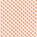 white/college orange