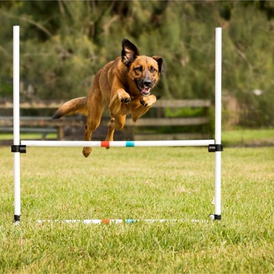 Adjustable White Plastic Dog Agility Training Bar Jumps Set