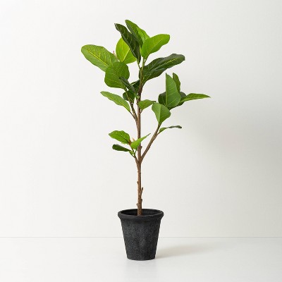 39" Faux Audrey Ficus Tree - Hearth & Hand™ with Magnolia: Indoor Floor Plant, Unlit Artificial Ficus with Pot