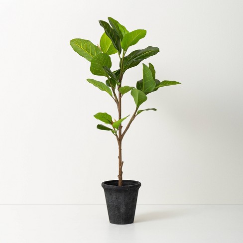 39" Faux Audrey Ficus Tree - Hearth & Hand™ with Magnolia - image 1 of 4