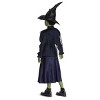 NBCUniversal Girls' Wicked the Musical Elphaba Classic Costume Dress Dark Purple - 2 of 4