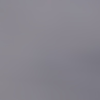 99020-silver
