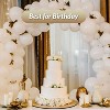 Latex Balloon Garland 100pcs with Arch, Column & Ribbon – 18", 12", 10", 5" Balloons for Party Decorations - 4 of 4
