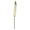 Floral Home 47" Cream Foxtail Spray - 6-Piece - 3 of 3