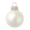 Northlight Matte Finish Glass Christmas Ball Ornament - 7" (180mm) - Fish Silver - 3 of 4