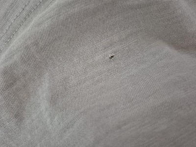 Guest review image 1 of 1, zoom in