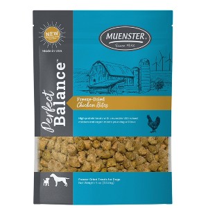 Muenster Perfect Balance Chicken Flavor Freeze Dried Dog Treats - 5oz - 1 of 4