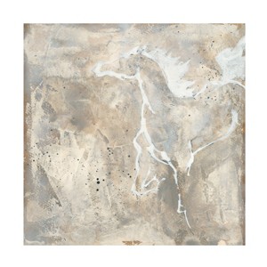 Trademark Fine Art -Chris Paschke 'White Horse Ii' Canvas Art - 1 of 4