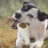 Cadet Peanut Butter Stuffed Shin Bone Dog Treats - Large - 8.5oz - image 4 of 4