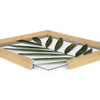 Blake Botanical Natural Framed Glass Wall Art, 18x24