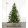 Sullivans 7'5" Prelit Pine Artificial Tree, Green - 2 of 3