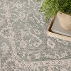 Nourison Desert Mirage Vintage Indoor Area Rug - 3 of 4