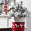 Sullivans Artificial Flocked Pine Stem 28"H Green - 3 of 4