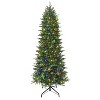 Puleo 10' Pre-Lit LED Full Fraser Fir Artificial Christmas Tree Color Select Lights - 4 of 4