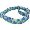 Country Brook Petz Martingale Dog Collar - Spring Collection - image 3 of 4