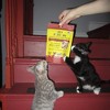 Pet Popcorn: Freeze-Dried Raw Treats - Beef Liver - 2.5oz Bag, Dog & Cat Snacks - 4 of 4