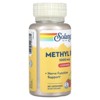 SOLARAY B 12 Methyl Lozenge Supplement, 2500mcg | 60 Count - 4 of 4