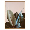 Kate & Laurel All Things Decor Sylvie Ficus Elastica Framed Wall Art by Alicia Bock Natural Natural Plant Photography Wall Art - 2 of 4