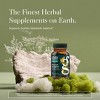 Gaia Herbs Thyroid Support - Made with Ashwagandha, Kelp, Brown Seaweed, and Schisandra - 3 of 4