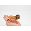 African Lion, Male, King of the African savanna, Museum Quality, Hand Painted, Plastic Animal, Realistic, Model, Toy, 4 1/2 Inches.  CWG191 BB44 - 3 of 4