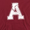 Alma College Official Distressed Primary Logo Adult Pull-Over Hoodie - 2 of 4