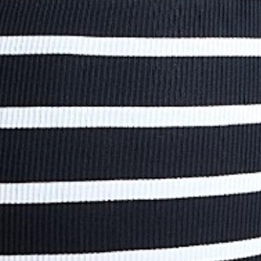 black & white stripe