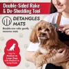KONG Double-Sided Rake, Detangling and Deshedding Dog Grooming Brush - 2 of 4