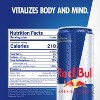 Red Bull Energy Drink - 16 fl oz Can - 2 of 4