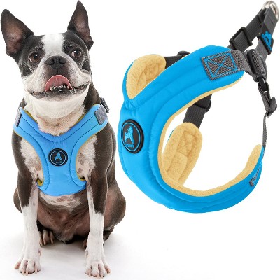 Gooby Escape Free Memory Foam Harness Blue, Small