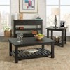 Barn Door Collection Solid Wood Coffee Table Antique Black - Martin Svensson Home - 3 of 4