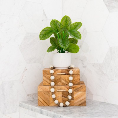 Nearly Natural Green Calathea Potted Plant in White Planter