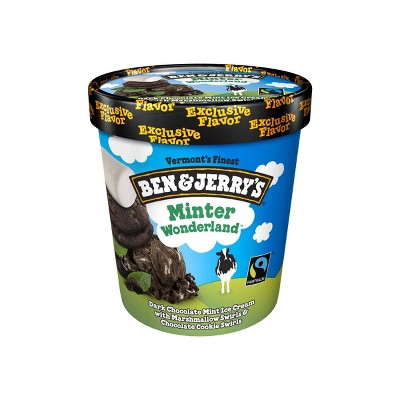 Ben & Jerry's Minter Wonderland Ice Cream - 1pt