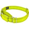 Country Brook Petz Reflective Nylon Martingale Dog Collar - 2 of 4