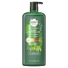 Herbal Essences bio:renew Hemp + Potent Aloe Sulfate Free Shampoo Frizz Control 20.2 fl oz - 2 of 4