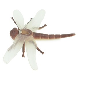 Collectible Wildlife Gifts | Dragonfly,  Rubber Insect, Educational, Realistic Hand Painted,  Model,   Gift,   2"   US15 B44 - 1 of 4