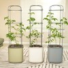 Vego Garden Self-Watering Rolling Tomato Rectangular Indoor Outdoor Planter Pot with Trellis 15"x15"x55" - 3 of 4