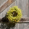 Mixed Daisy Floral Wreath 20"D - 2 of 2