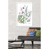 Trends International Botanical Collection - Wild Flowers Framed Wall Poster Prints - 2 of 4