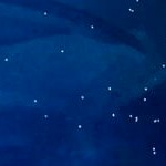 midnight blue