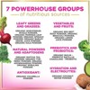 Greens Superfood Powder, Organic Spirulina & Chlorella Greens, Prebiotics & Probiotics, Gut Health & Bloating Support - 28 Servings By Hello Lovely! - 3 of 4
