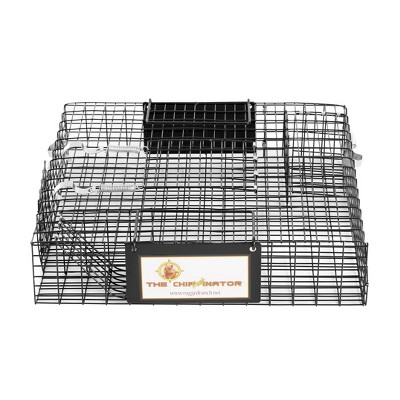 Little Giant Lt1 18 Inch Galvanized Wire Mesh And Reinforced Steel Live Trap  With Single Door Entry For Human And Secure Animal Removal : Target