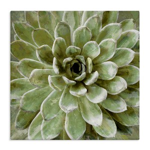 Stupell Industries Green Botanical Succulent Bloom, 24" x 24" - 1 of 4