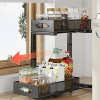 Coucheta Under Sink Organizer, 2-Tier Pull Out Cabinet Organizer with Sliding Drawers & Adjustable Height, Kitchen Bathroom Storage Rack - 3 of 4