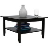 Danvers Rectangle Coffee Table Black Wengue - 2 of 4