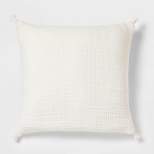 Euro Double Cloth Decorative Throw Pillow - Threshold™