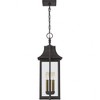Quoizel Lighting Manning 3 - Light Pendant in  Western Bronze - 3 of 3