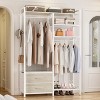 Aheaplus Garment Rack Heavy Duty Clothes Rack Free Standing Closet Organizer with Shelves and 2 hanging Rods - 2 of 4