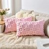 REGALWOVEN Daisy Decorative Cute Floral Embroidery Flower Pattern Cushion Covers Pack of 2 - 2 of 4