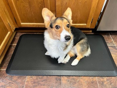 Floor Mat For Standing Desk Black - Mind Reader : Target